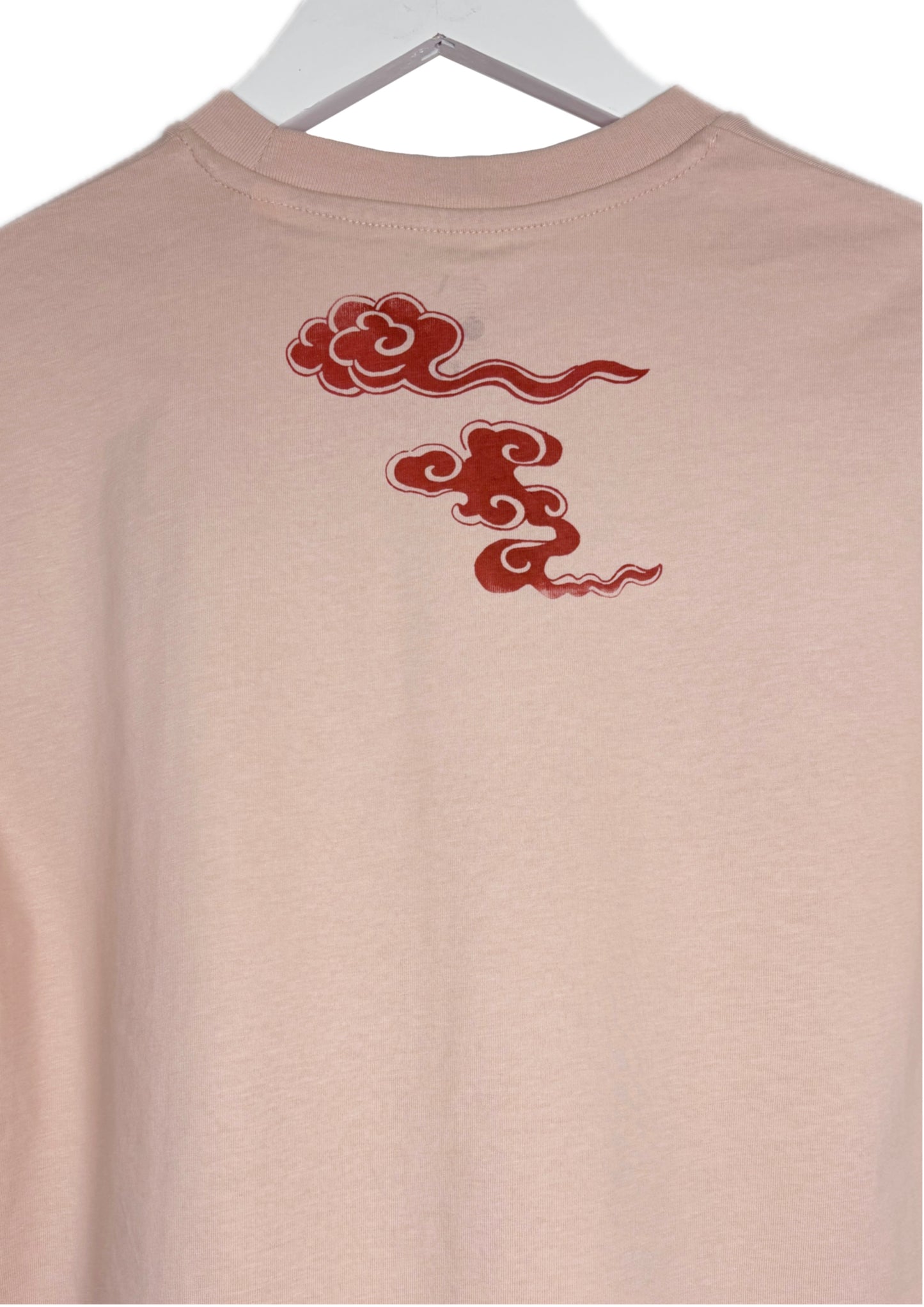 tshirt classica t serigrafata con dragone mattone