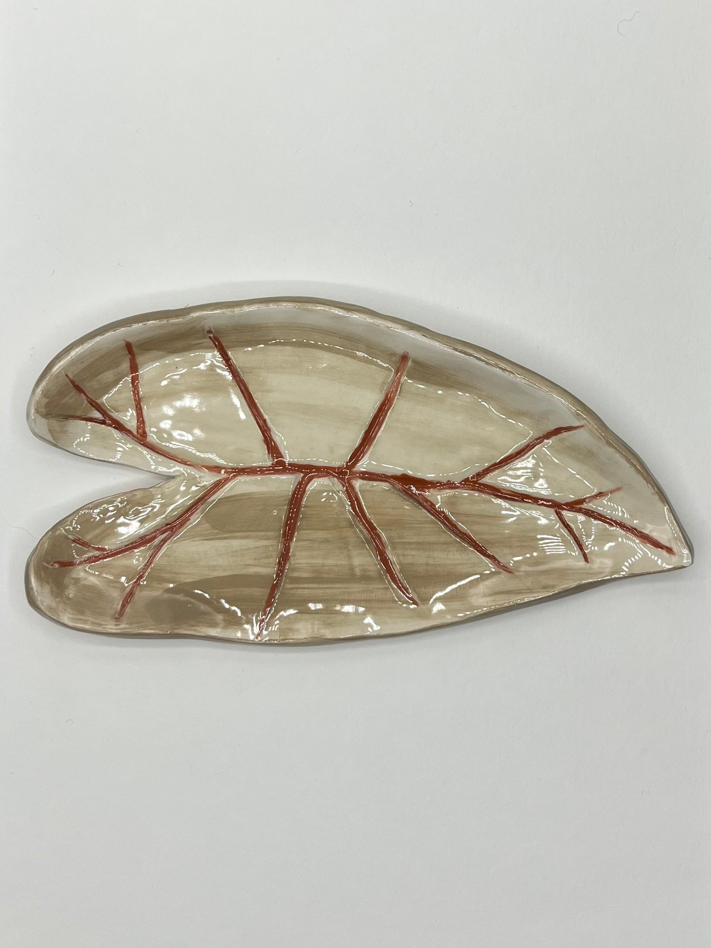 Piatto in ceramica foglia alocasia